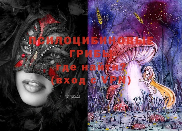 PSILOCYBIN Дмитровск