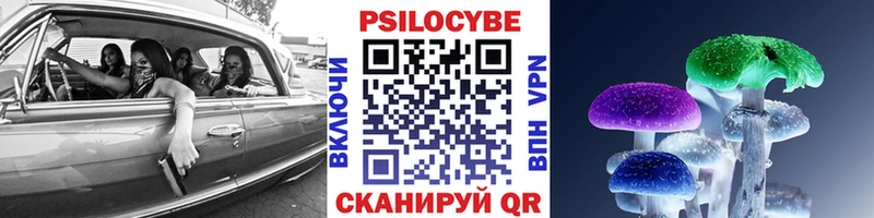 как найти   Семёнов  Галлюциногенные грибы мицелий 